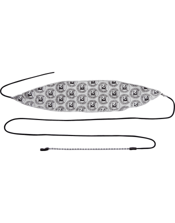 ECOUVILLON BG COR MICROFIBRE