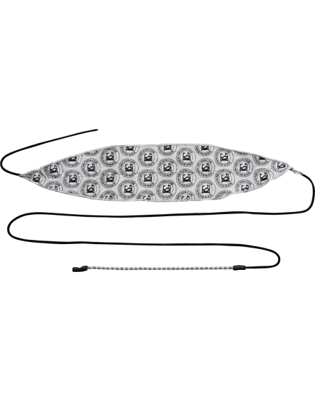 ECOUVILLON BG COR MICROFIBRE