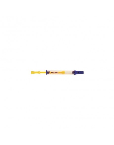 FLUTE A COULISSE TRANSPARENTE