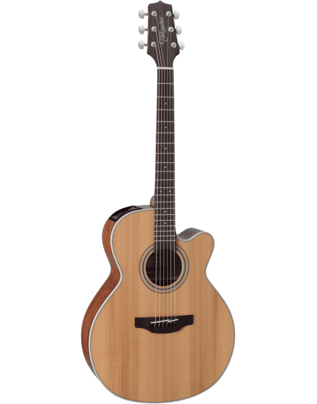 GUITARE TAKAMINE G 20 AUDITORIUM ELEC