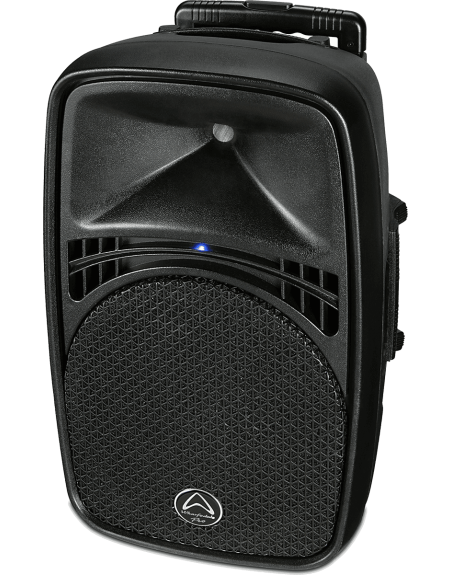 ENCEINTE WARFEDALE AUTONOME AVEC 2 MICROS UHF