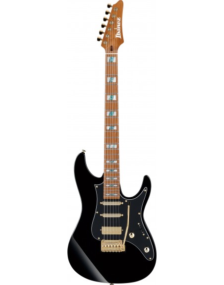 GUITARE IBANEZ THBB10 - TIM HENSON SIGNATURE