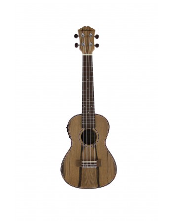 UKULELE CONCERT ALABAMA DAO...