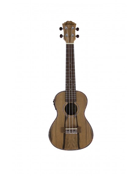 UKULELE CONCERT ALABAMA DAO ELECTRO