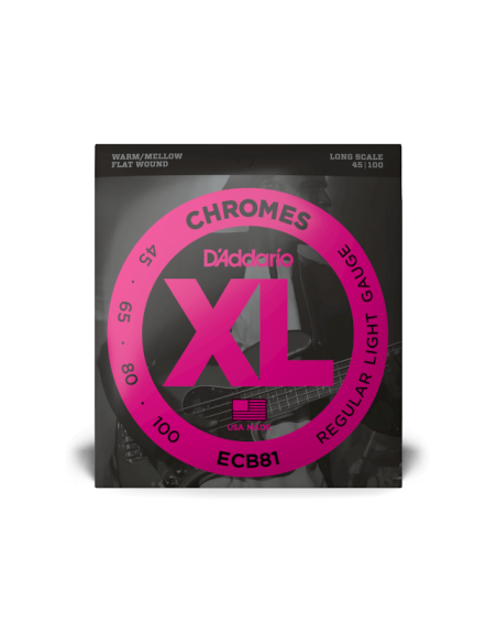 D'ADDARIO BASSE FILE PLAT 45-100