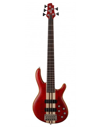 CORT 5 CORDES A5 ROUGE