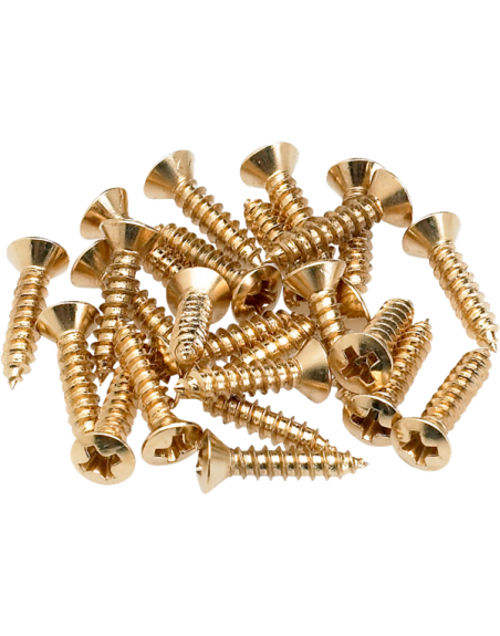 VIS PICKGIARD DORE FENDER