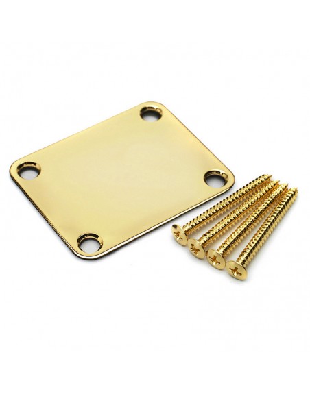 PLAQUE METAL ARRIERE DE MANCHE AVEC VIS DORE