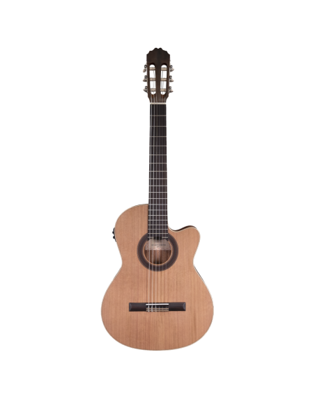 GUIT CLASS ELECTRO STUDENT CUT