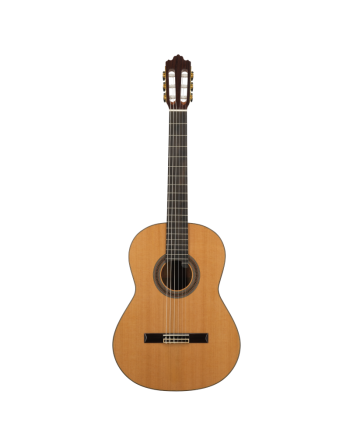 GUITARE CLASSIQUE SOLOIST 900