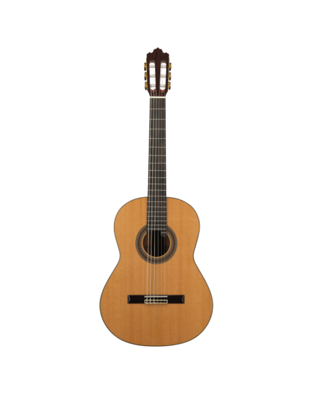 GUITARE CLASSIQUE SOLOIST 900