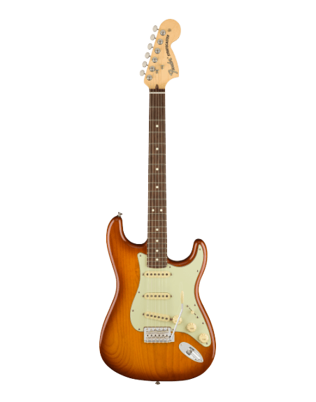 AMERICAN PERFORMER STRAT RW HBST