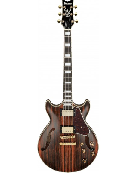 Ibanez AM93ME-NT