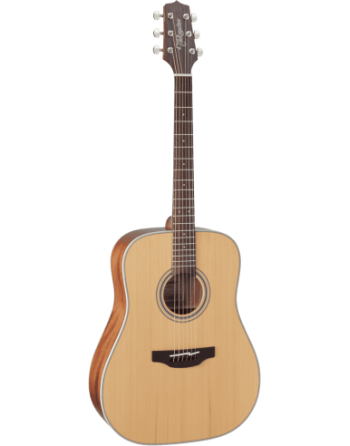 TAKAMINE DREADNOUGHT 20