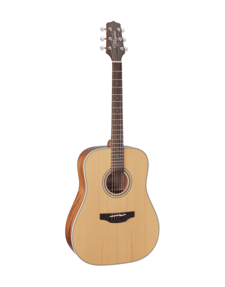 TAKAMINE DREADNOUGHT 20