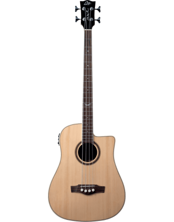 BASSE ACOUSTIQUE EKO GEA...