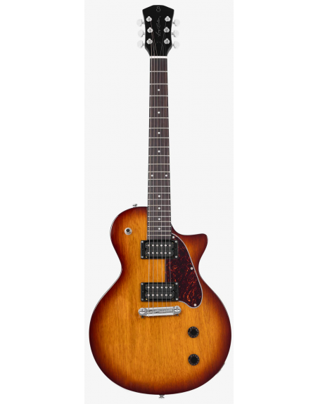 LARRY CARLTON L3 HH TS SC ARCHTOP RN
