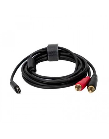 Cable USB-C DAC-2RCA