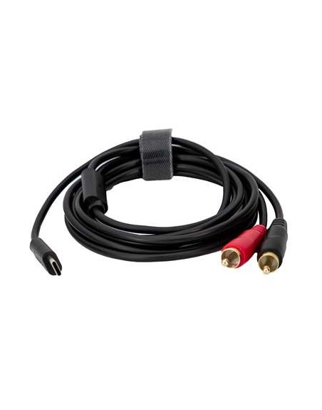 Cable USB-C DAC-2RCA